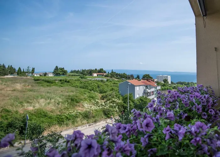 Comfortable Cozy Διαμέρισμα